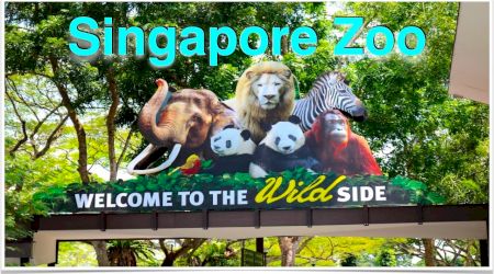 Cele mai renumite Grădini Zoologice din jurul lumii