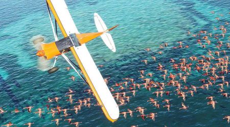 Următoarea generație a Microsoft Flight Simulator inspiră piloții de mâine