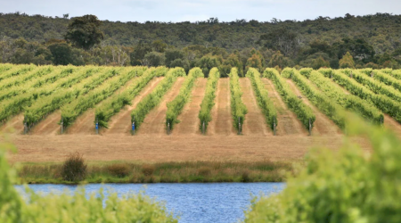 Decanter World Wine Awards 2023: Cea mai mare competiție de vinuri din lume premiază cele mai bune vinuri