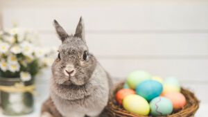 Inspiratie pentru Cadouri de Paste: Idei pentru Toate Gusturile si Bugetele